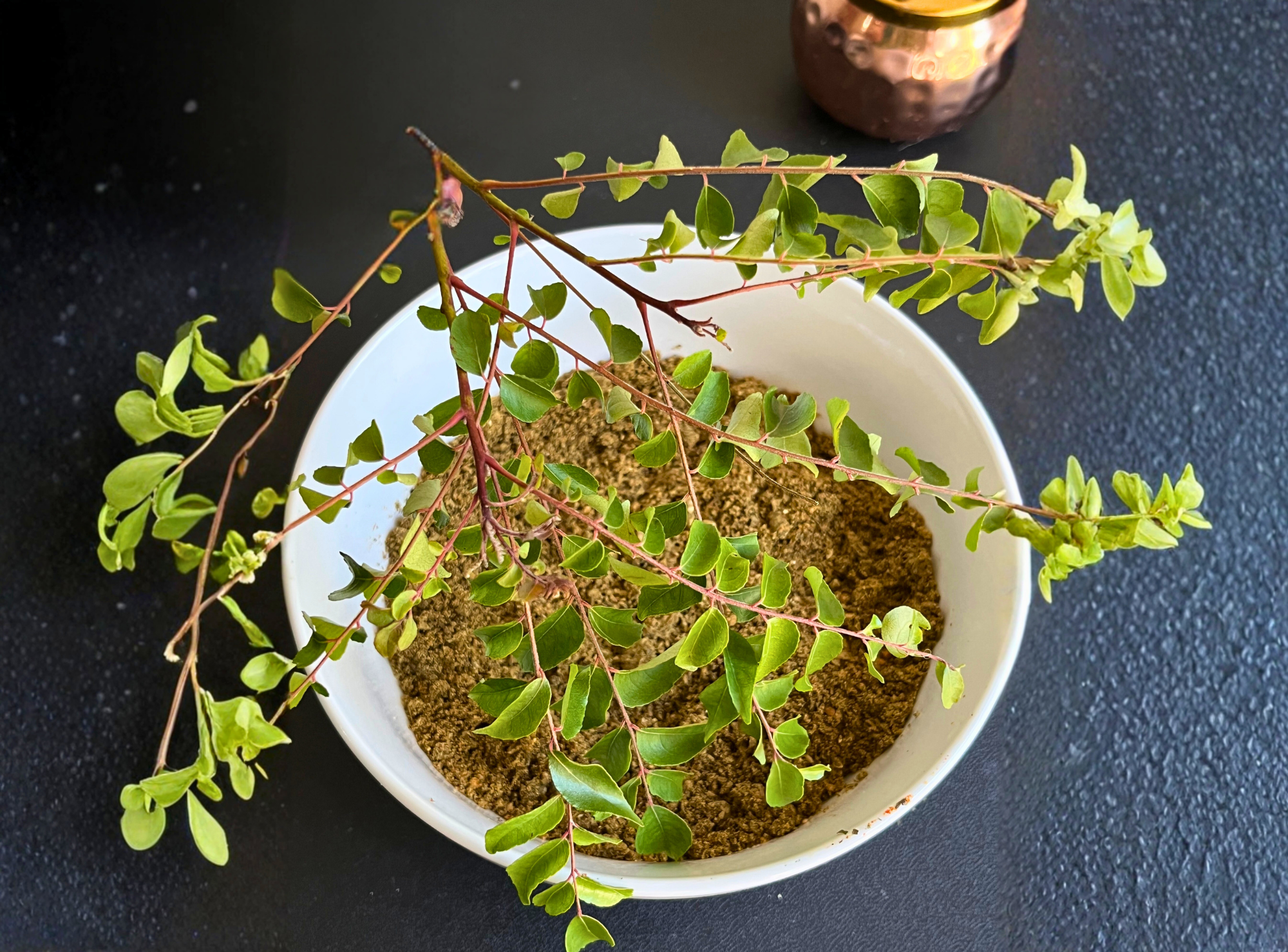 Curry Leaf Chutney Powder