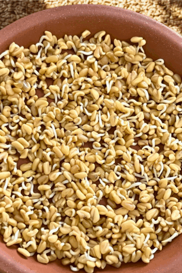 How to Sprout Methi (Fenugreek) Seeds