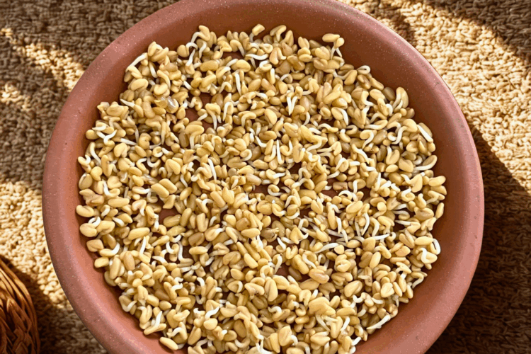 How to Sprout Methi (Fenugreek) Seeds
