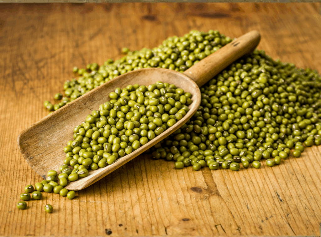 How To Sprout Mung Beans