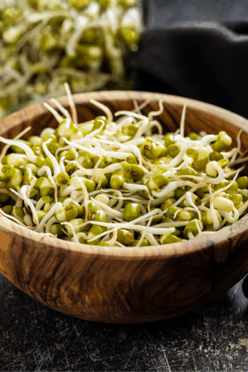 How To Sprout Mung Beans