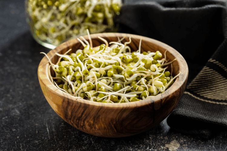 How To Sprout Mung Beans