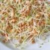 How to Sprout Brown Lentils (Sabut Masoor Dal)