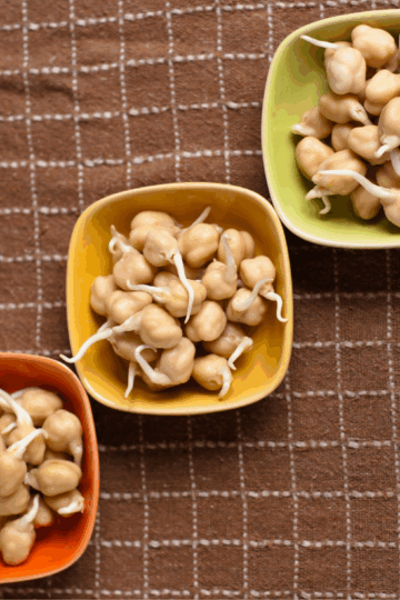 How To Sprout Chickpeas