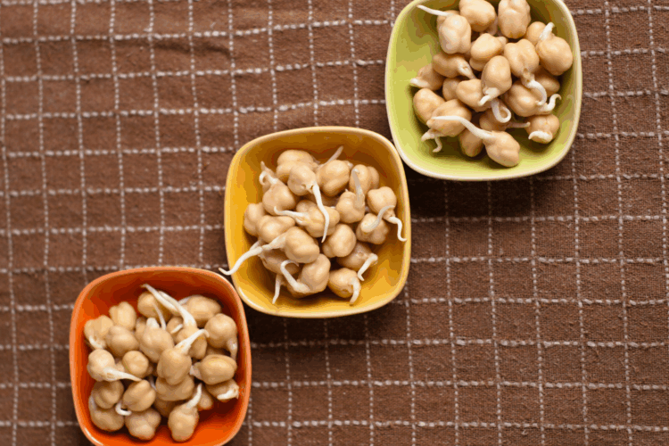 How To Sprout Chickpeas