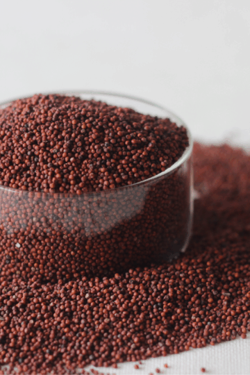 Finger Millet